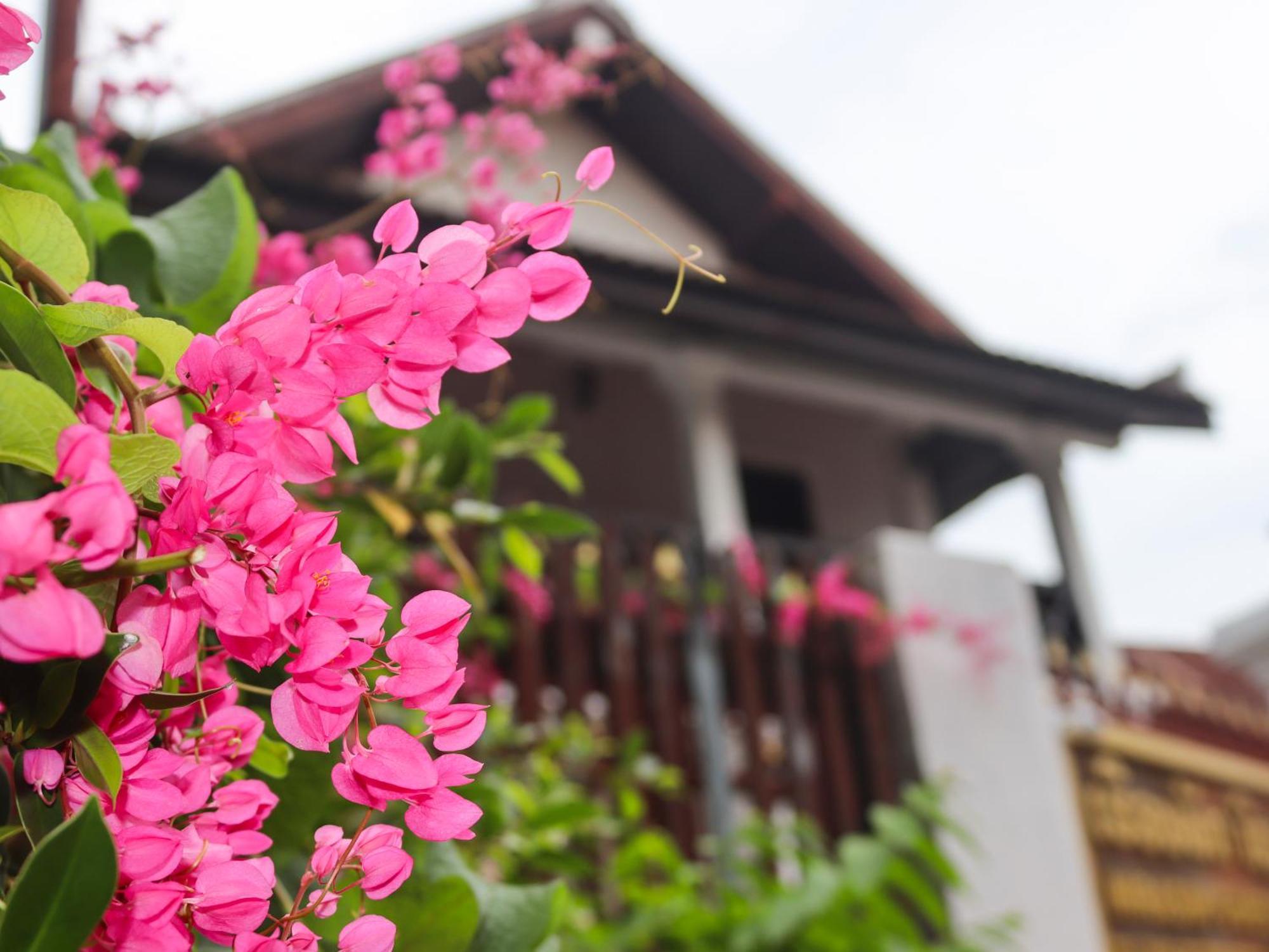 Nirasim Villa Luang Prabang Eksteriør bilde
